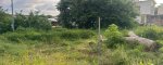 Tamarindo, 50309, ,Lots / Land,For Sale,1126