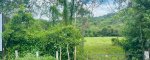 Finca panamá, 50309, ,Lots / Land,For Sale,1140