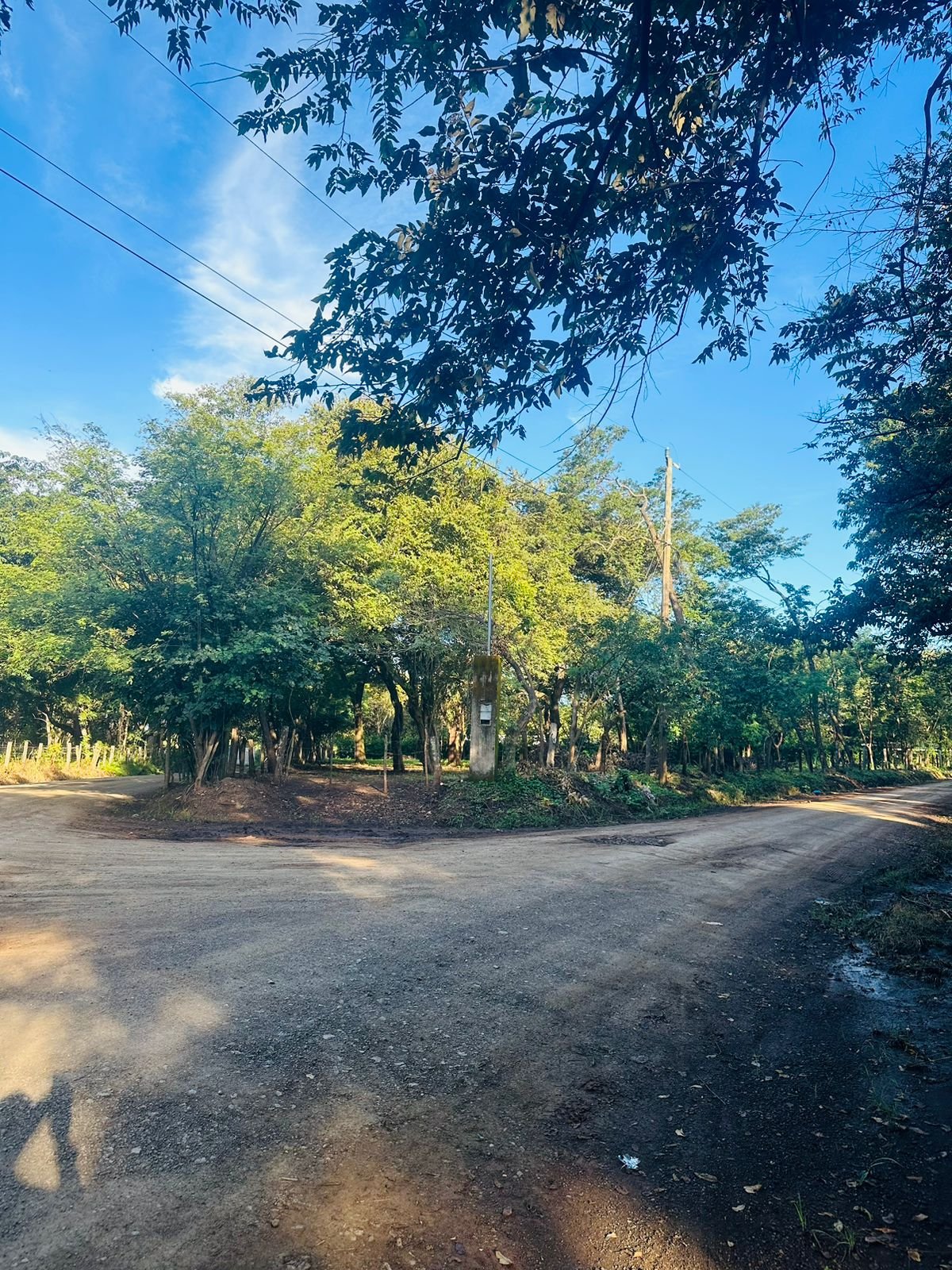 Finca panamá, 50309, ,Lots / Land,For Sale,1140