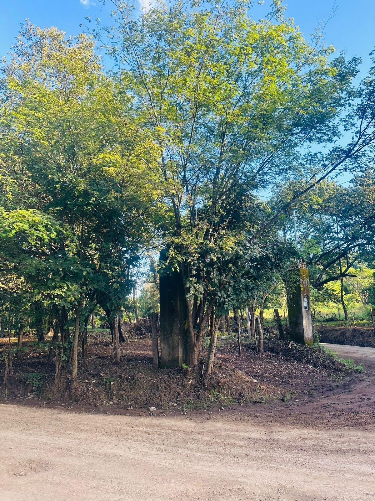 Finca panamá, 50309, ,Lots / Land,For Sale,1140