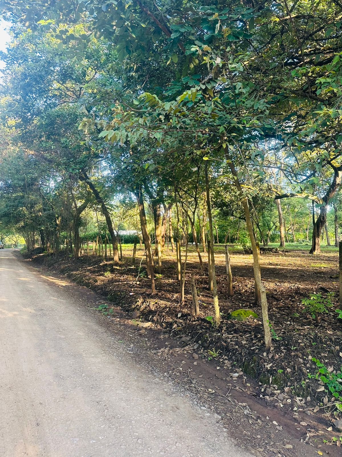 Finca panamá, 50309, ,Lots / Land,For Sale,1140