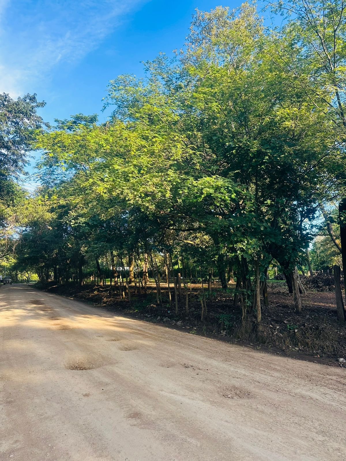 Finca panamá, 50309, ,Lots / Land,For Sale,1140