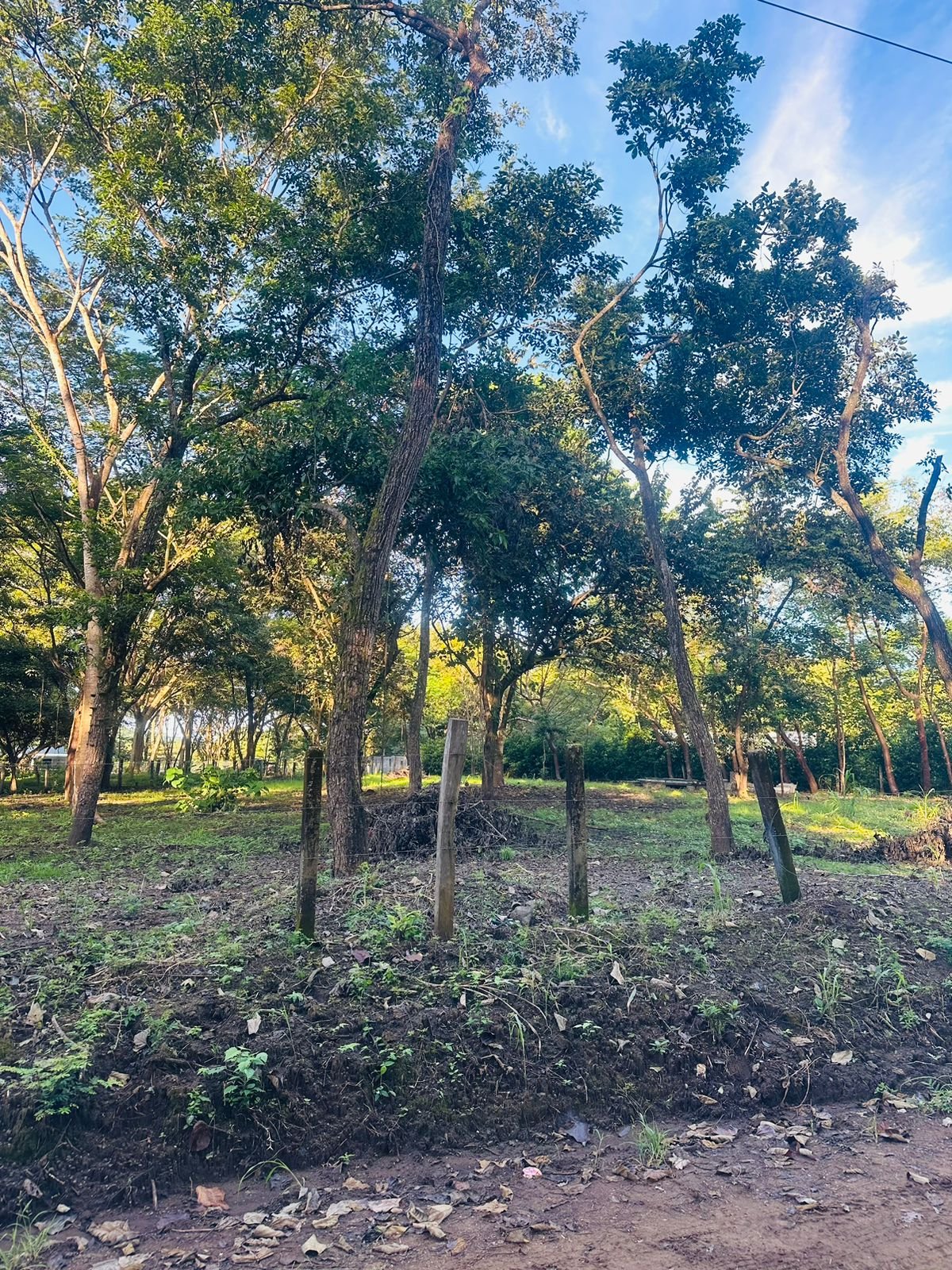 Finca panamá, 50309, ,Lots / Land,For Sale,1140