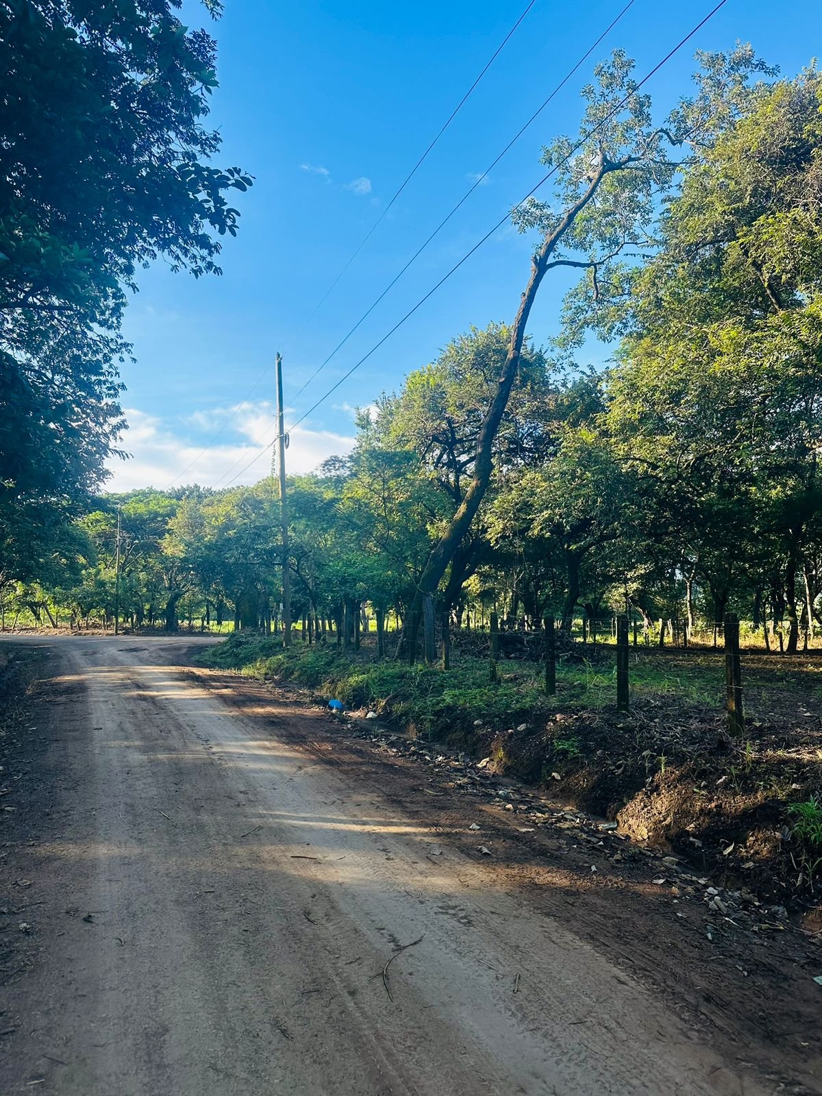 Finca panamá, 50309, ,Lots / Land,For Sale,1140