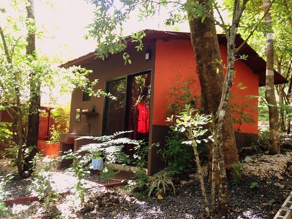 Matapalo, 50308, 14 Rooms Rooms,14 BathroomsBathrooms,Business,For Sale,1165