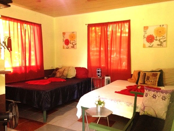 Matapalo, 50308, 14 Rooms Rooms,14 BathroomsBathrooms,Business,For Sale,1165