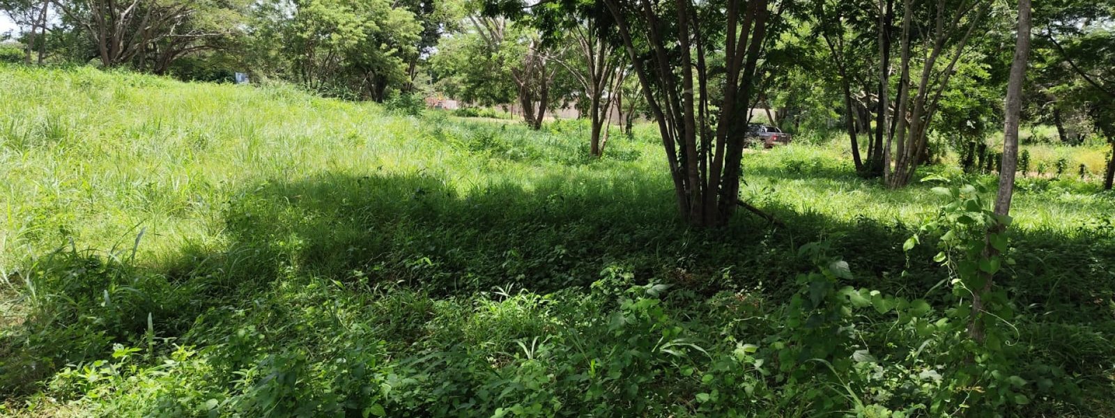 Tamarindo, ,Lots / Land,For Sale,1167