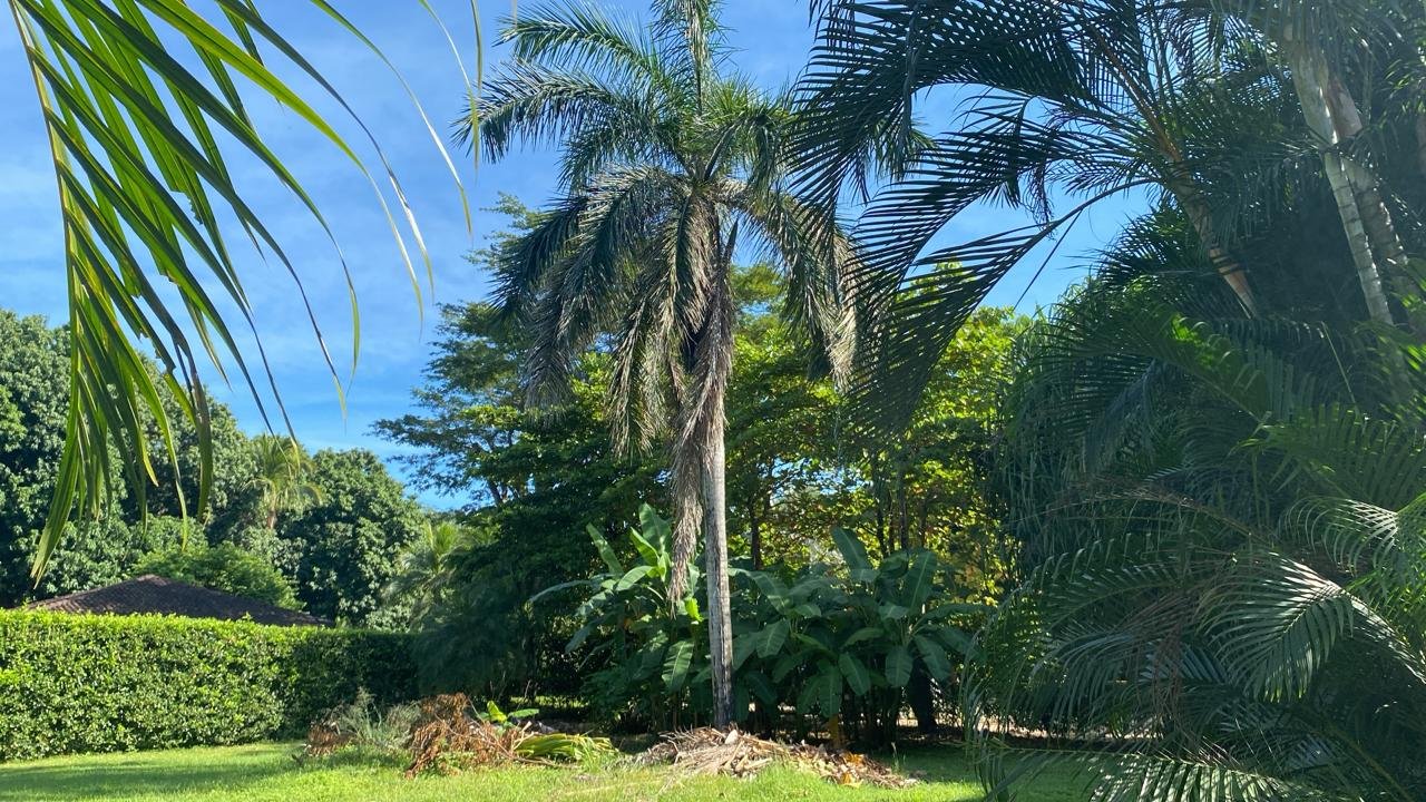 Villareal, 50309, ,Lots / Land,For Sale,1177