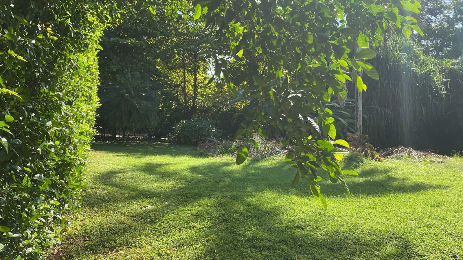 Villareal, 50309, ,Lots / Land,For Sale,1177