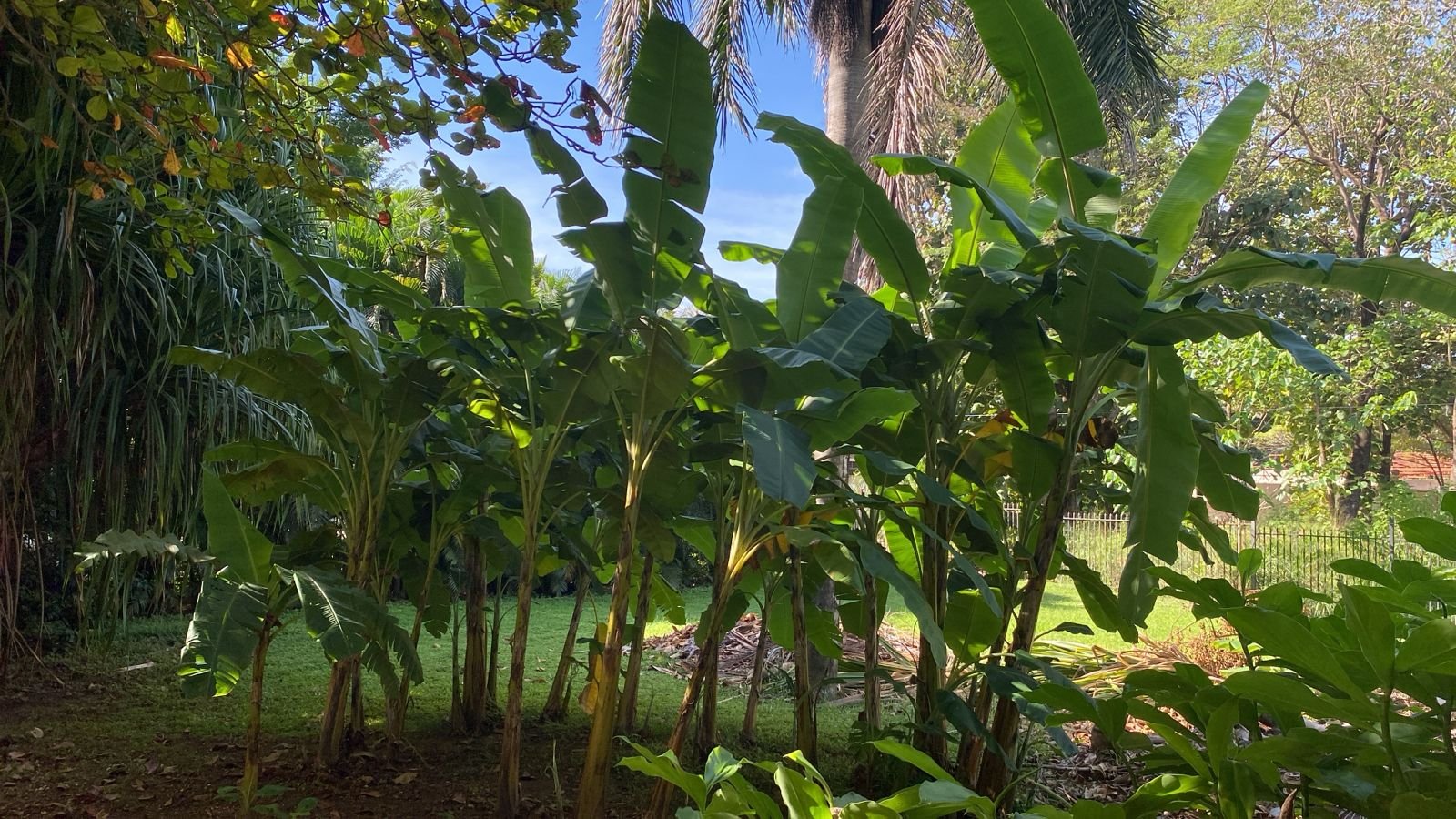 Villareal, 50309, ,Lots / Land,For Sale,1177