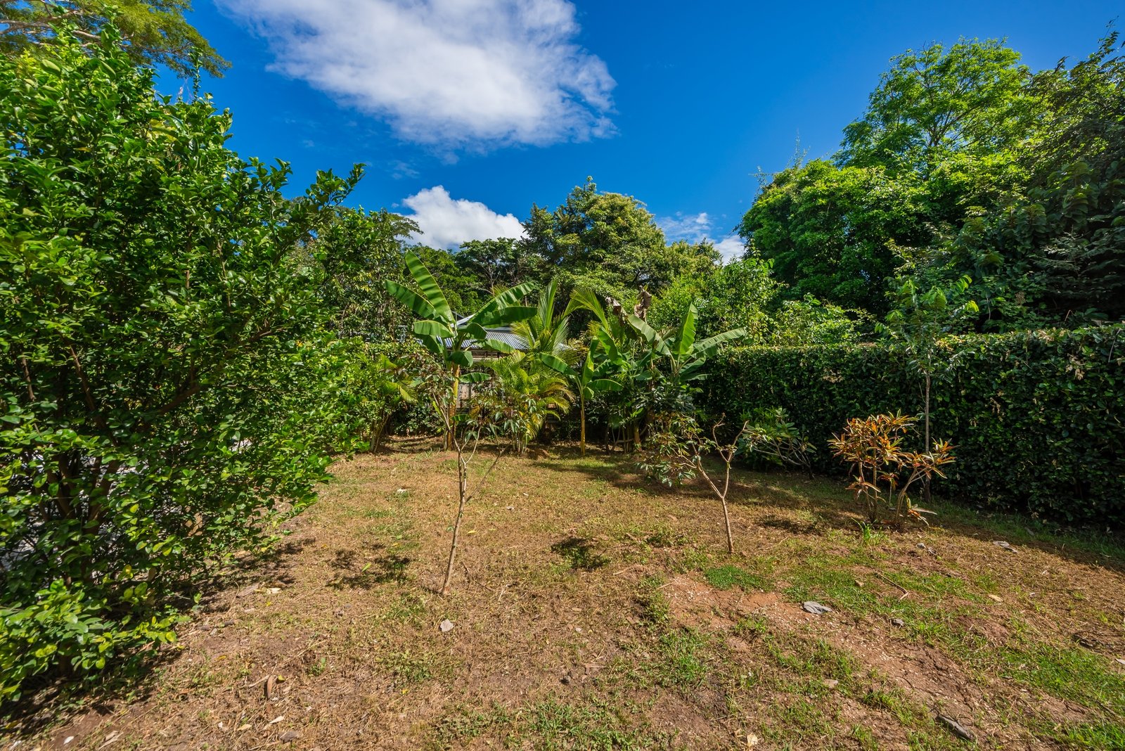 Playa Grande, 2 Bedrooms Bedrooms, ,2 BathroomsBathrooms,House / Villa,For Sale,1178