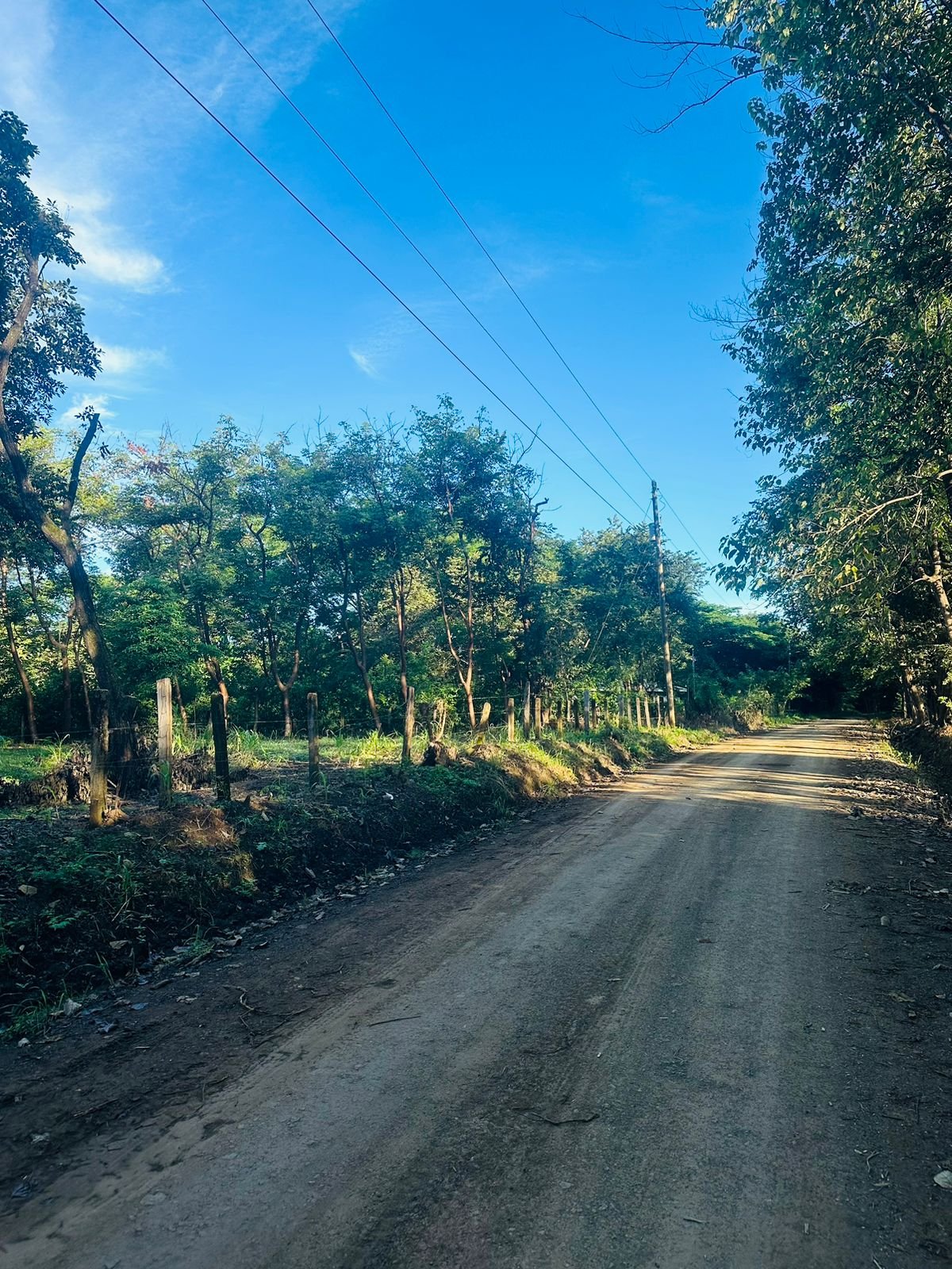 Finca panamá, ,Lots / Land,For Sale,1179