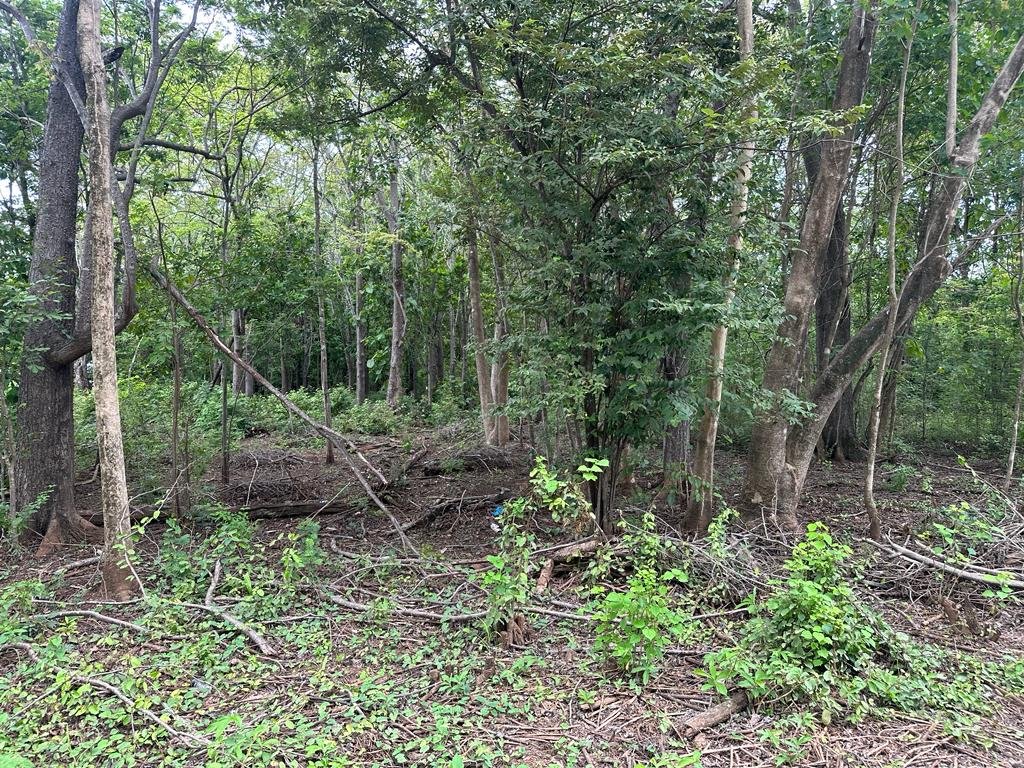 Villarreal, 50309, ,Lots / Land,For Sale,1180