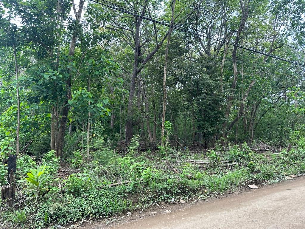 Villarreal, 50309, ,Lots / Land,For Sale,1180