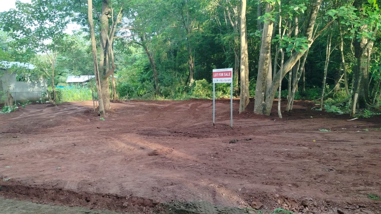 Villarreal, 50309, ,Lots / Land,For Sale,1180