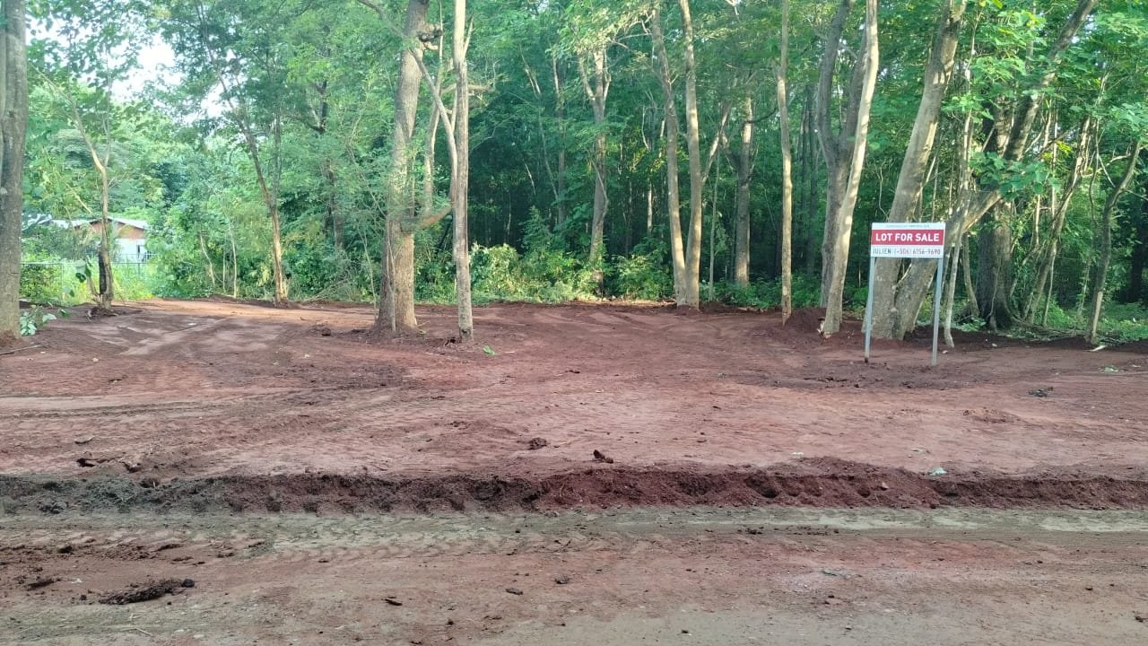 Villarreal, 50309, ,Lots / Land,For Sale,1180