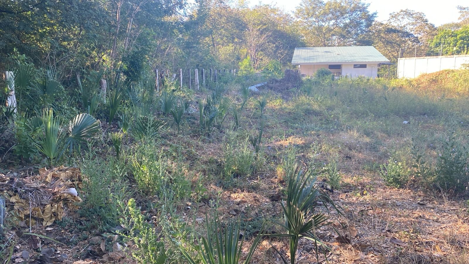 Huacas, 50308, ,Lots / Land,For Sale,1184