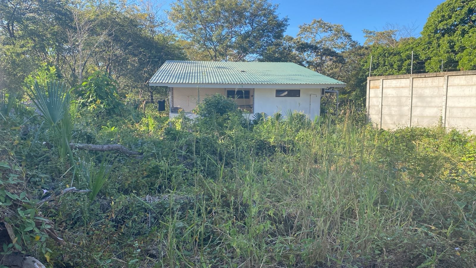 Huacas, 50308, ,Lots / Land,For Sale,1184