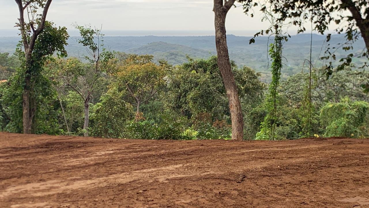 Tamarindo, 50309, ,Lots / Land,For Sale,1185