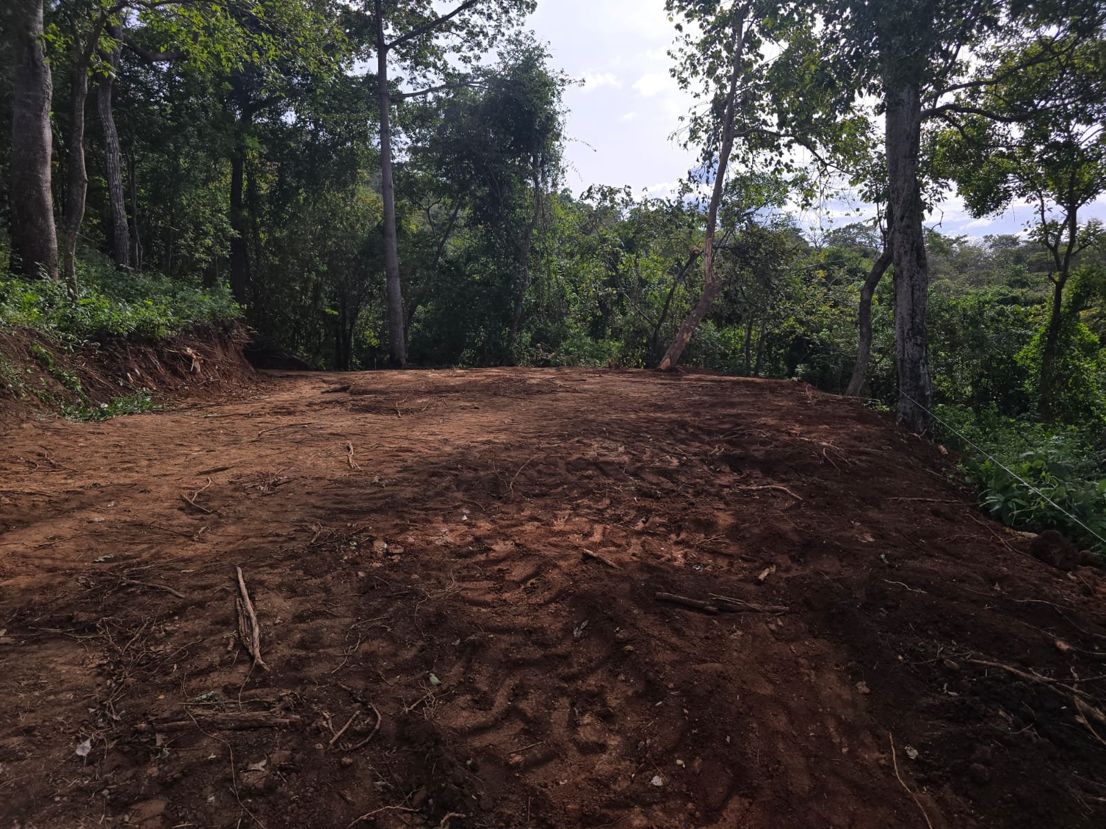 Tamarindo, 50309, ,Lots / Land,For Sale,1185
