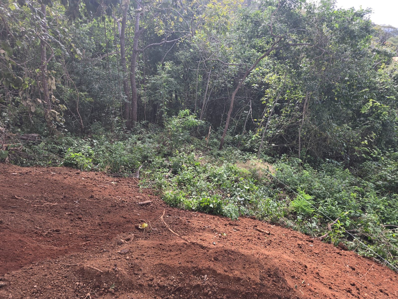 Tamarindo, 50309, ,Lots / Land,For Sale,1185