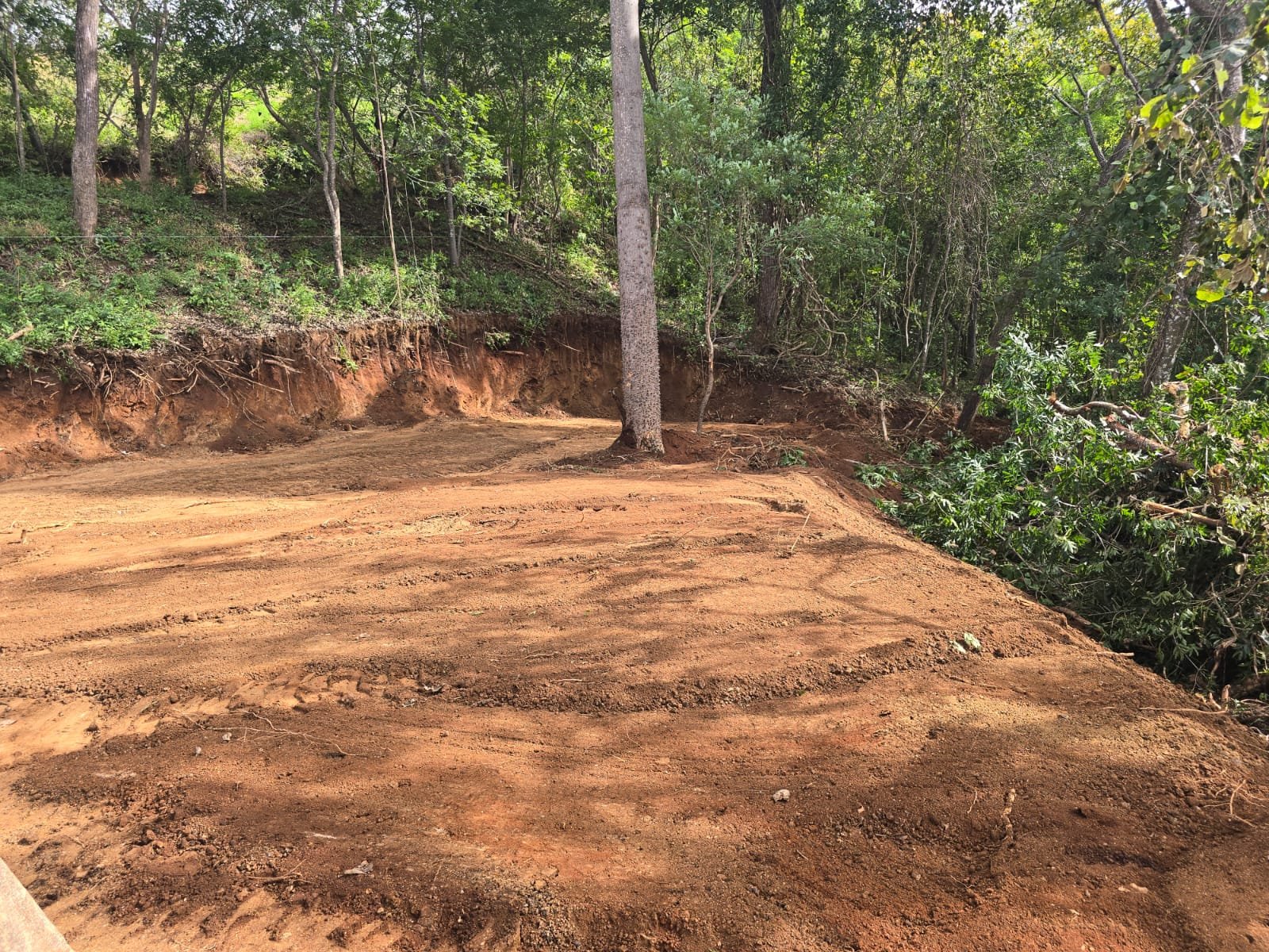 Tamarindo, 50309, ,Lots / Land,For Sale,1185