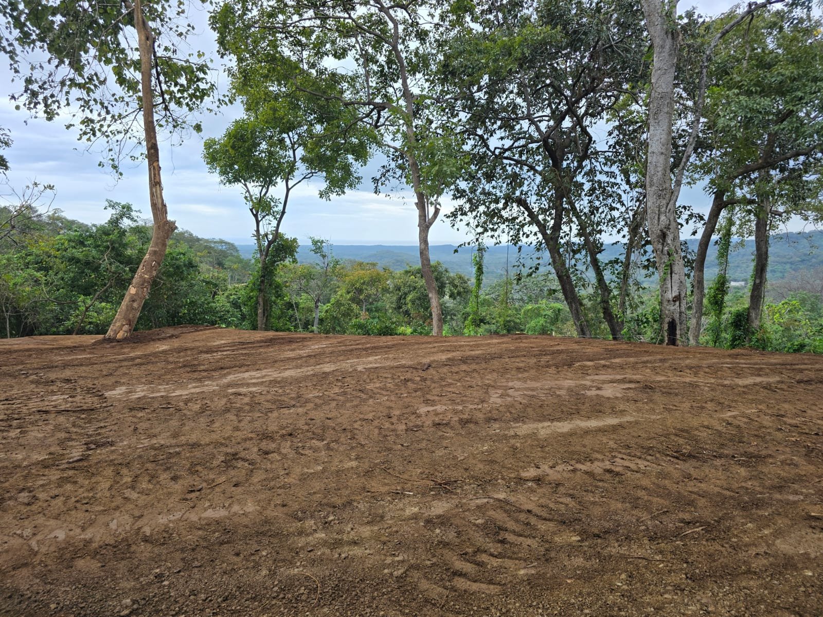 Tamarindo, 50309, ,Lots / Land,For Sale,1185