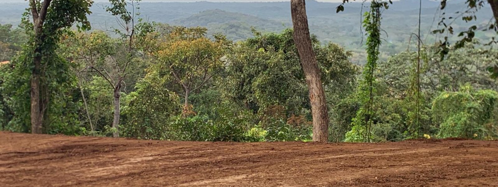 Tamarindo, 50309, ,Lots / Land,For Sale,1185