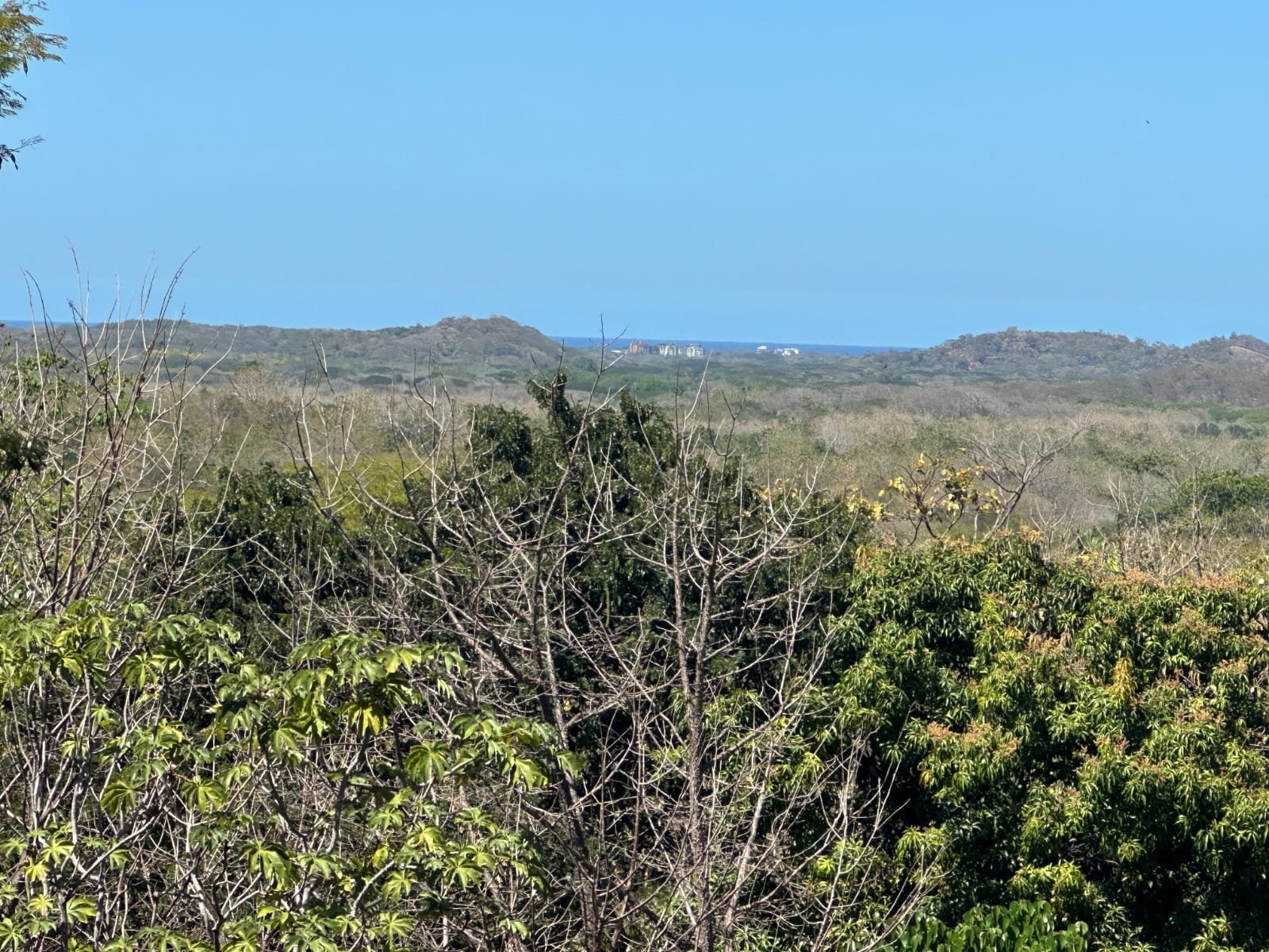 San José de Pinilla, 50309, ,Lots / Land,For Sale,1186