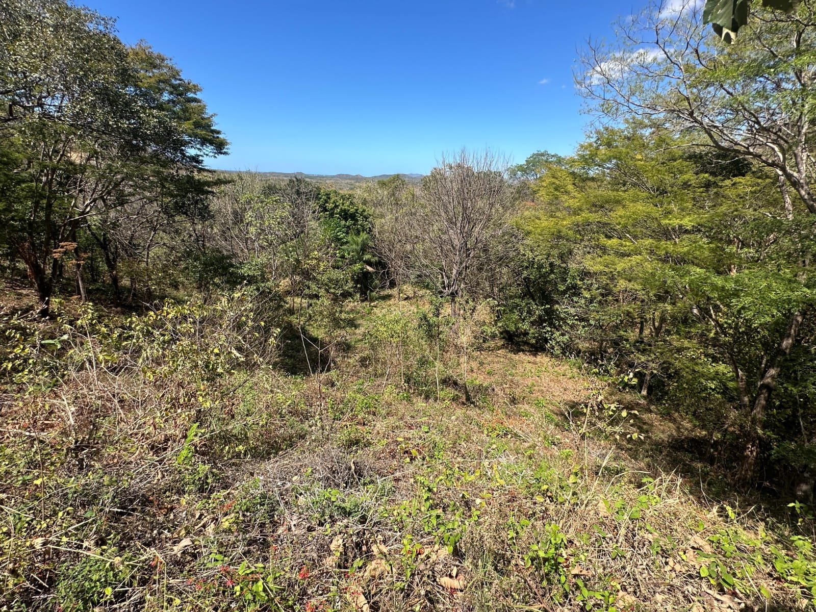 San José de Pinilla, 50309, ,Lots / Land,For Sale,1186