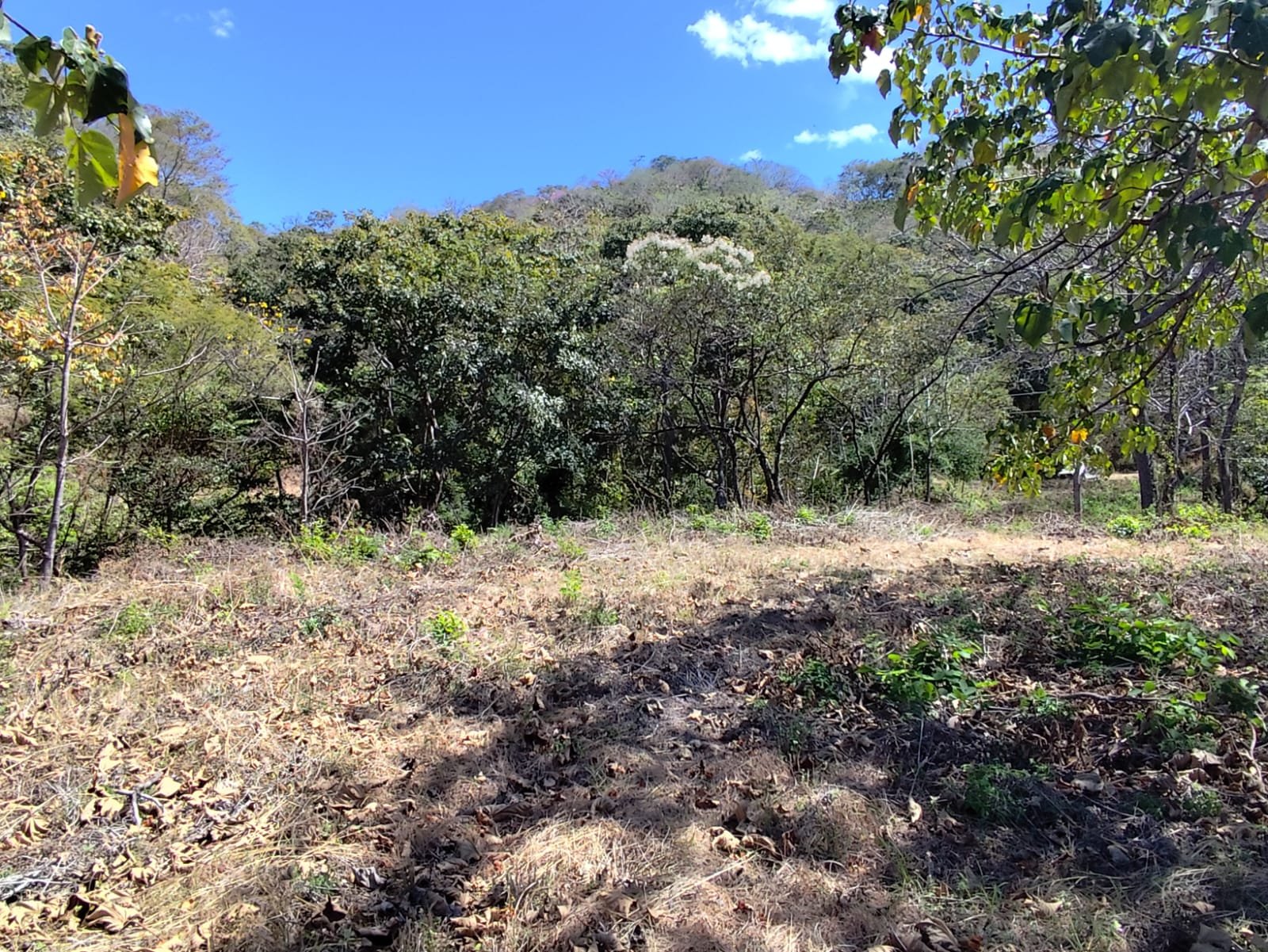 San José de Pinilla, 50309, ,Lots / Land,For Sale,1186