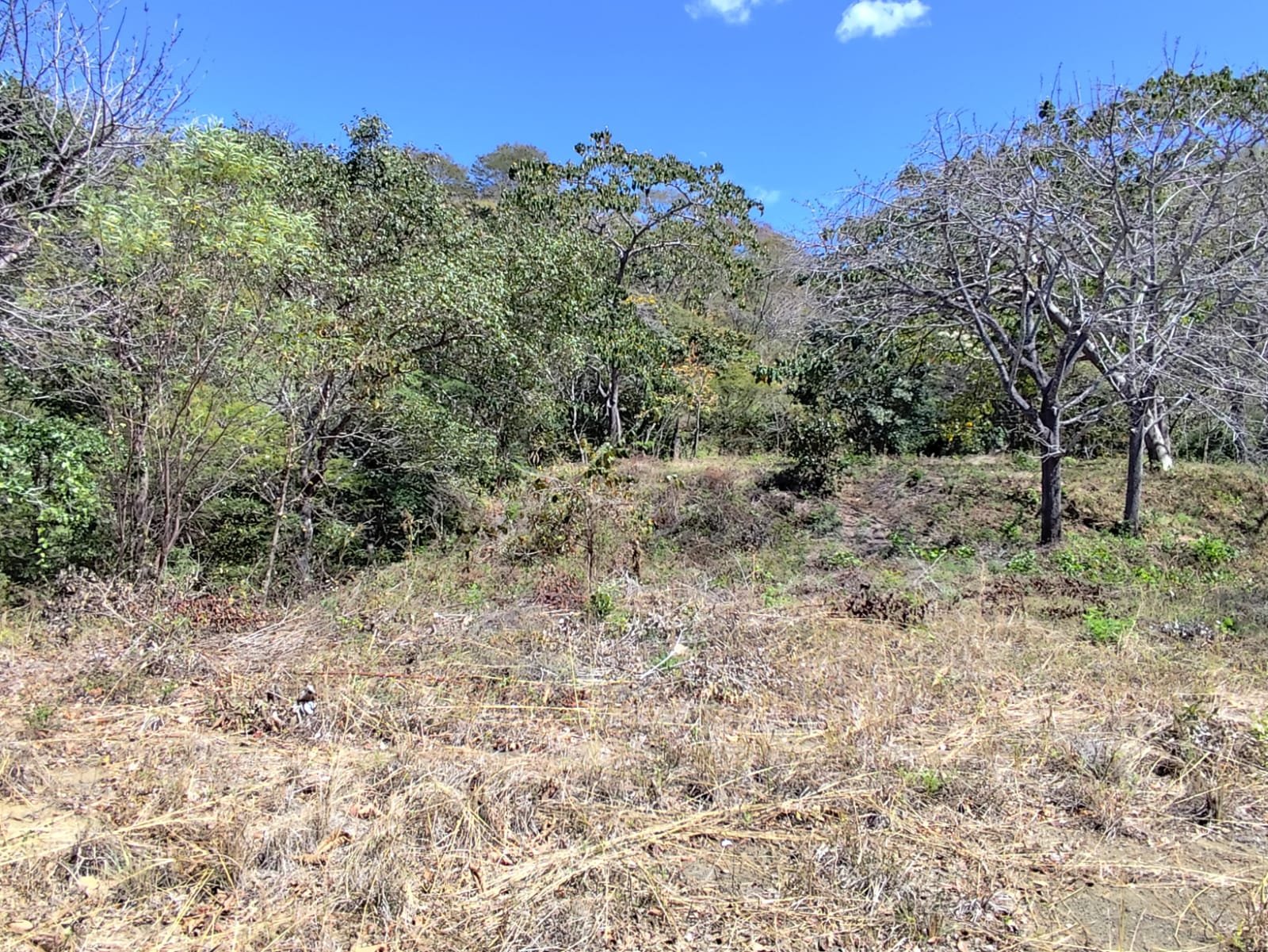 San José de Pinilla, 50309, ,Lots / Land,For Sale,1186