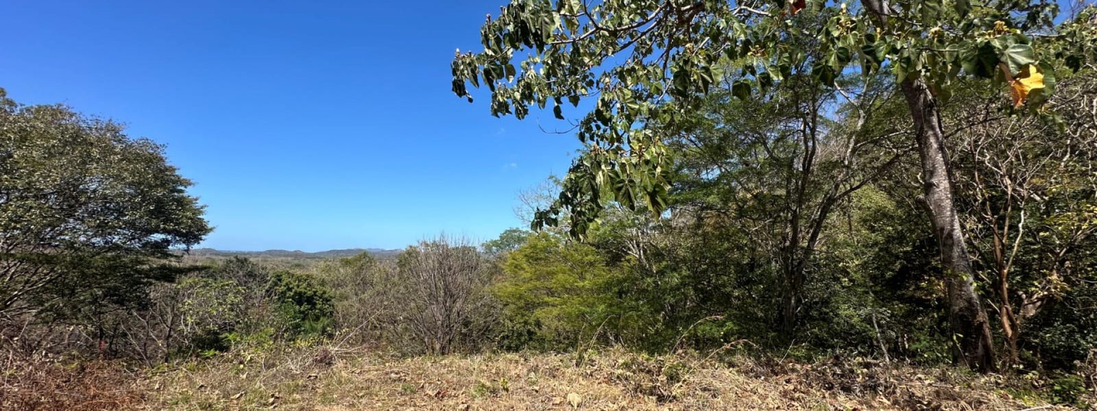 Expansive 26,000 m² Mixed‑Use Property with Ocean & Valley Views Near 