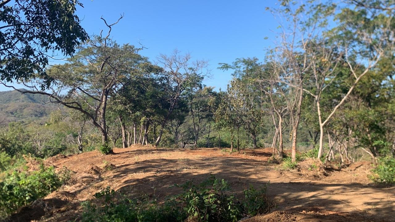 Cañafistula, 50309, ,Lots / Land,For Sale,1187