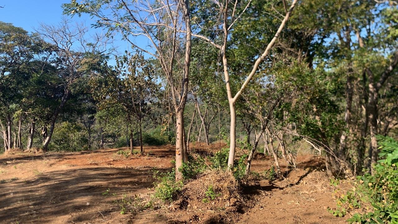 Cañafistula, 50309, ,Lots / Land,For Sale,1187