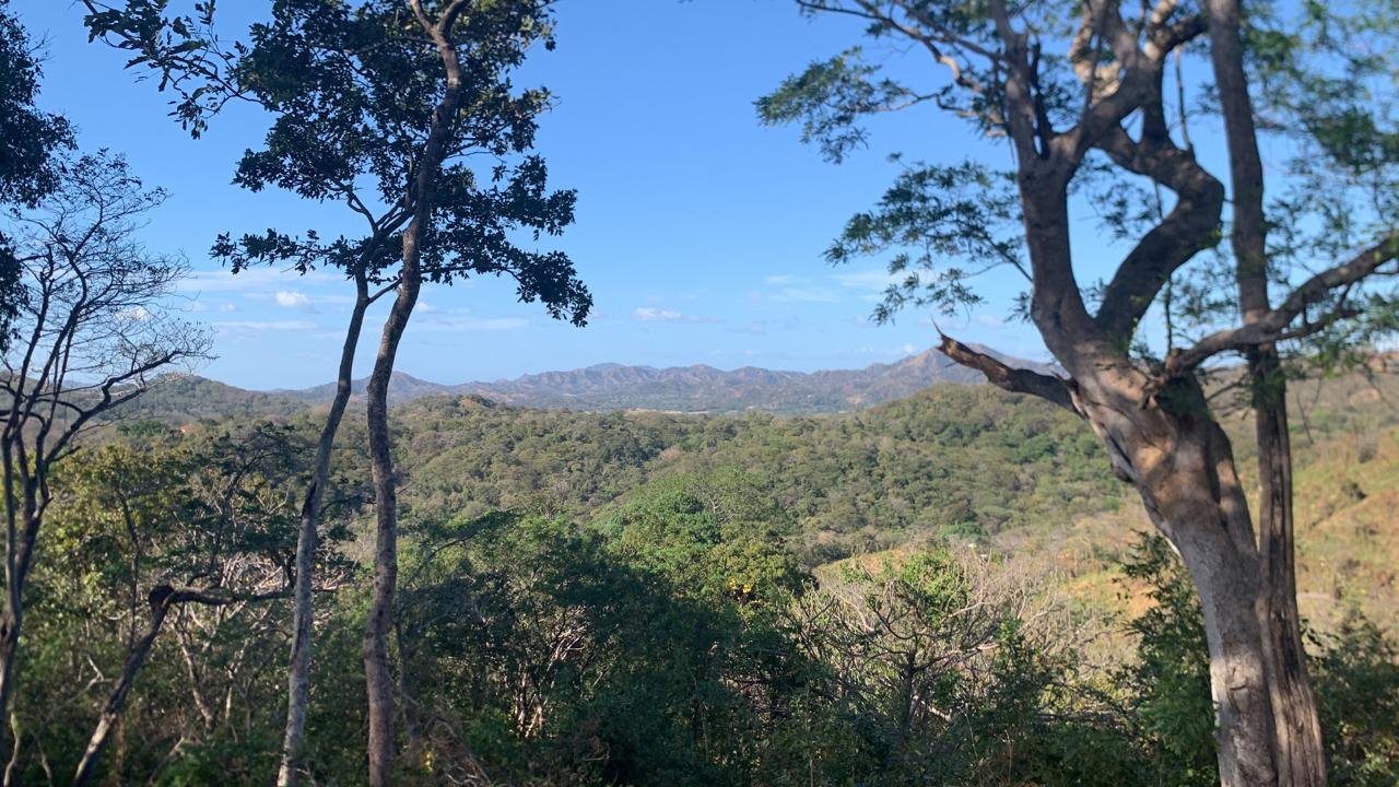 Cañafistula, 50309, ,Lots / Land,For Sale,1187