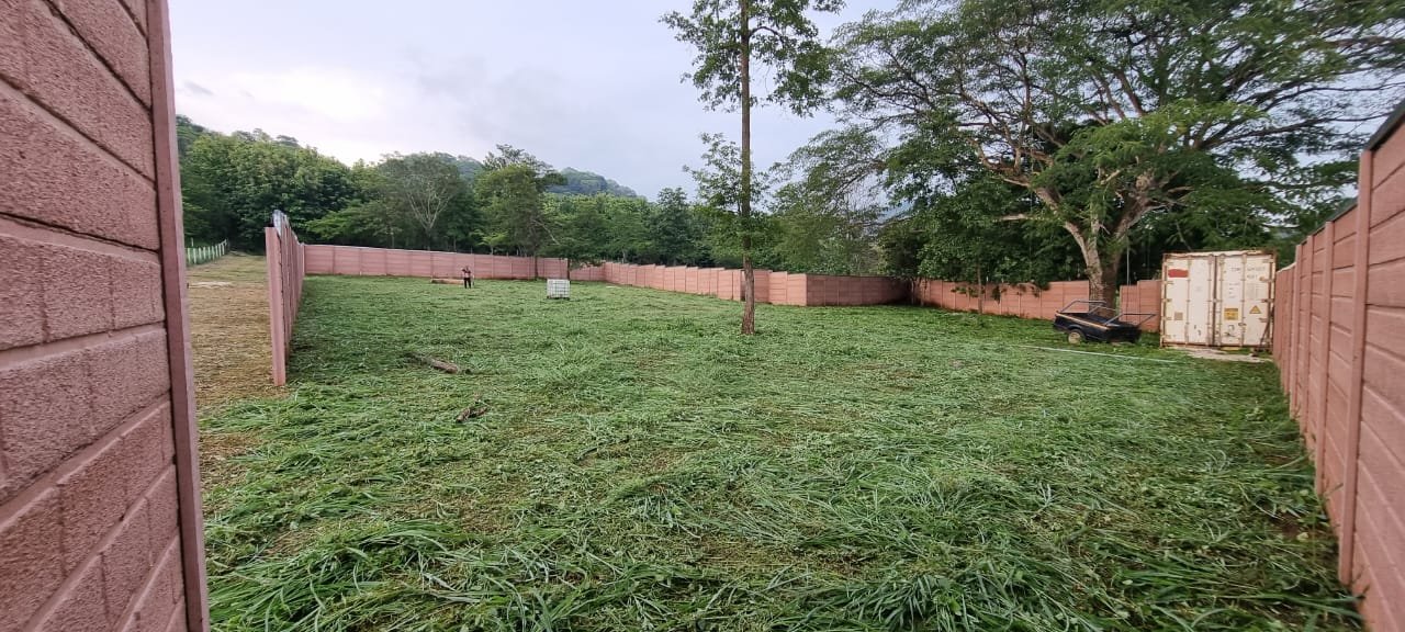 Tamarindo, 50309, ,Lots / Land,For Sale,1193