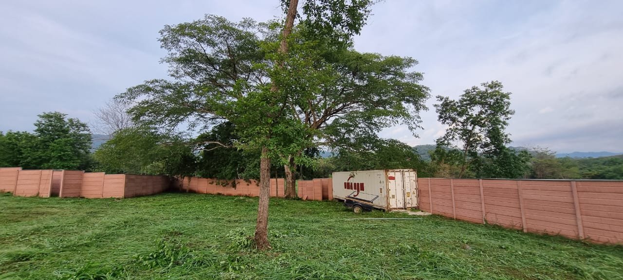 Tamarindo, 50309, ,Lots / Land,For Sale,1193