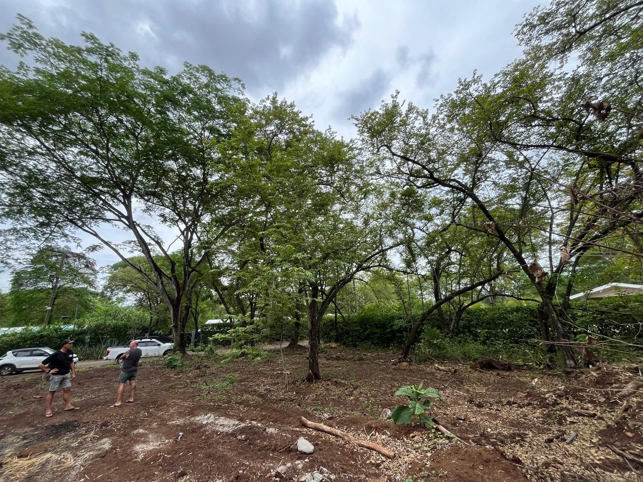 Lots / Land,For Sale,1196