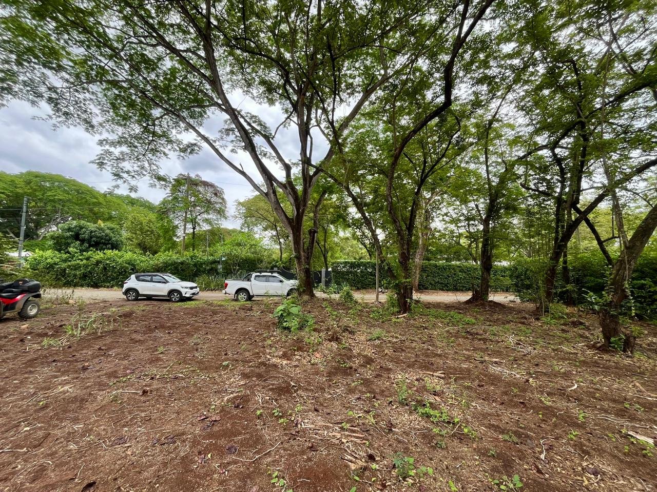 Lots / Land,For Sale,1196