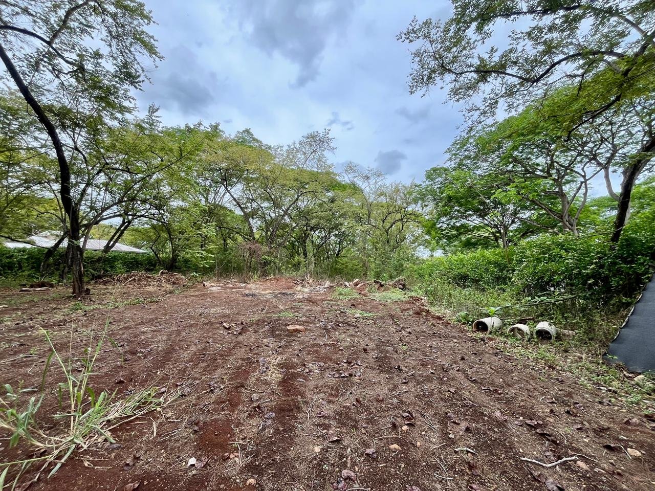 Lots / Land,For Sale,1196