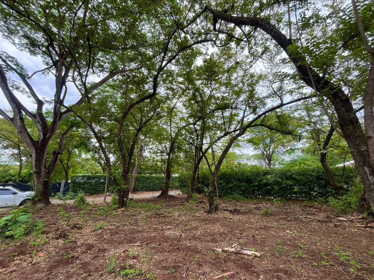 Lots / Land,For Sale,1196