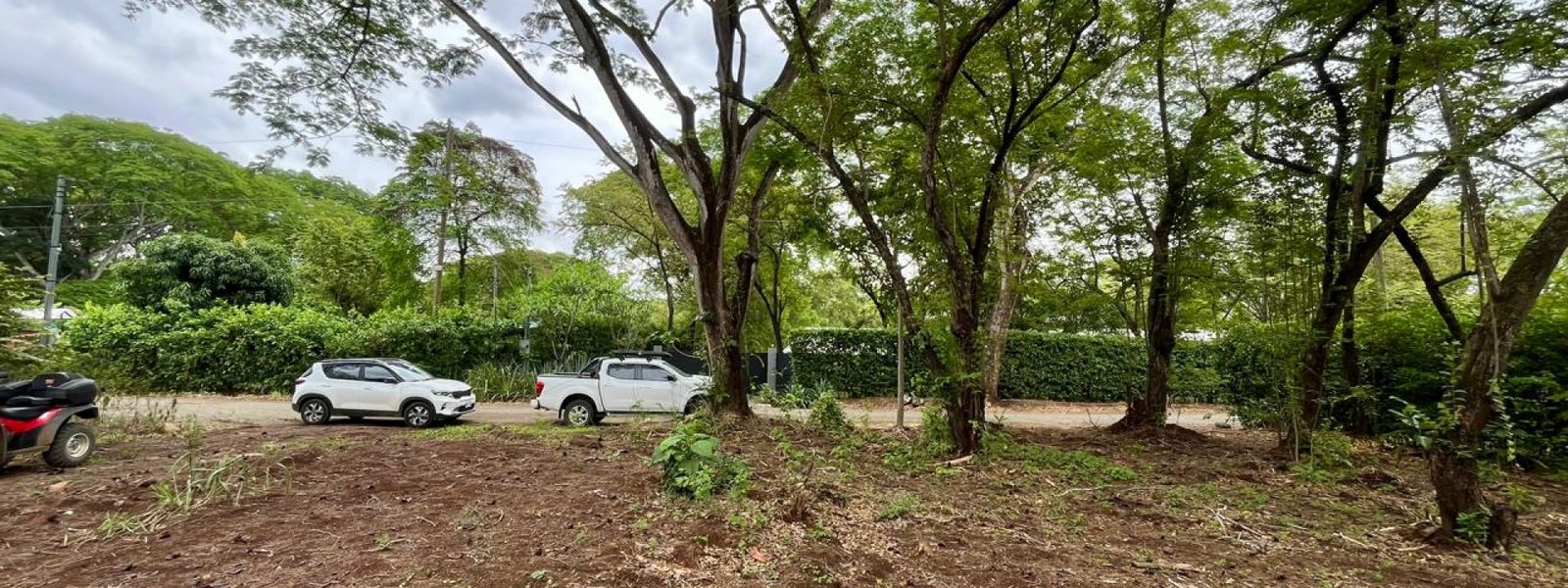 Lots / Land,For Sale,1196