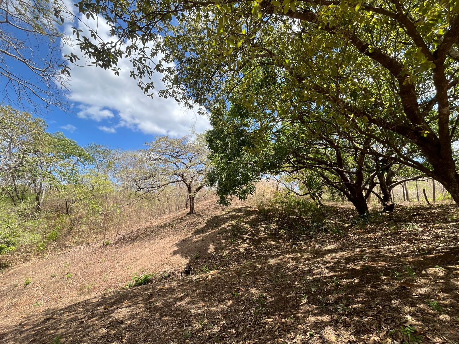 Playa Grande, ,Lots / Land,For Sale,1198