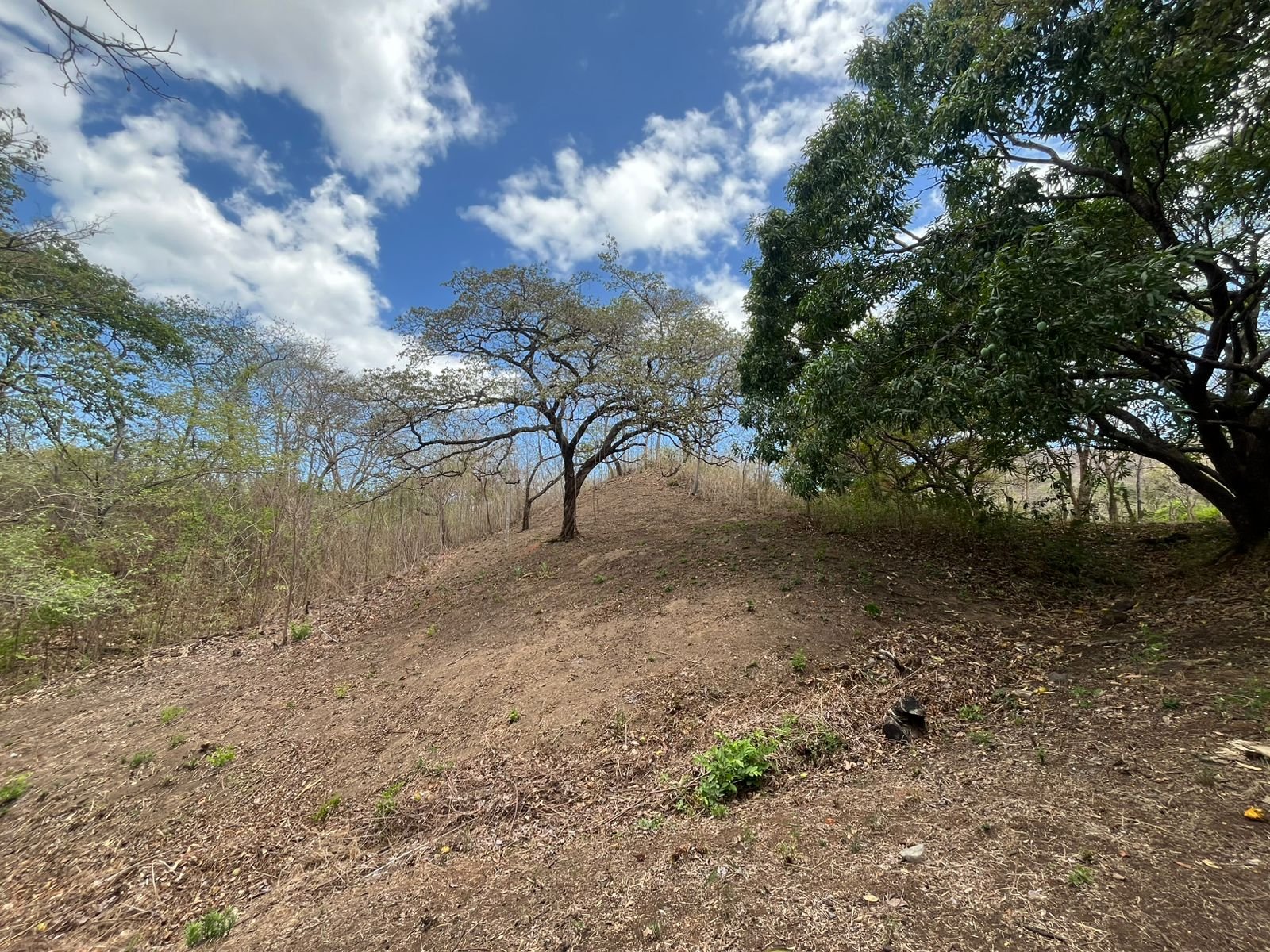 Playa Grande, ,Lots / Land,For Sale,1198