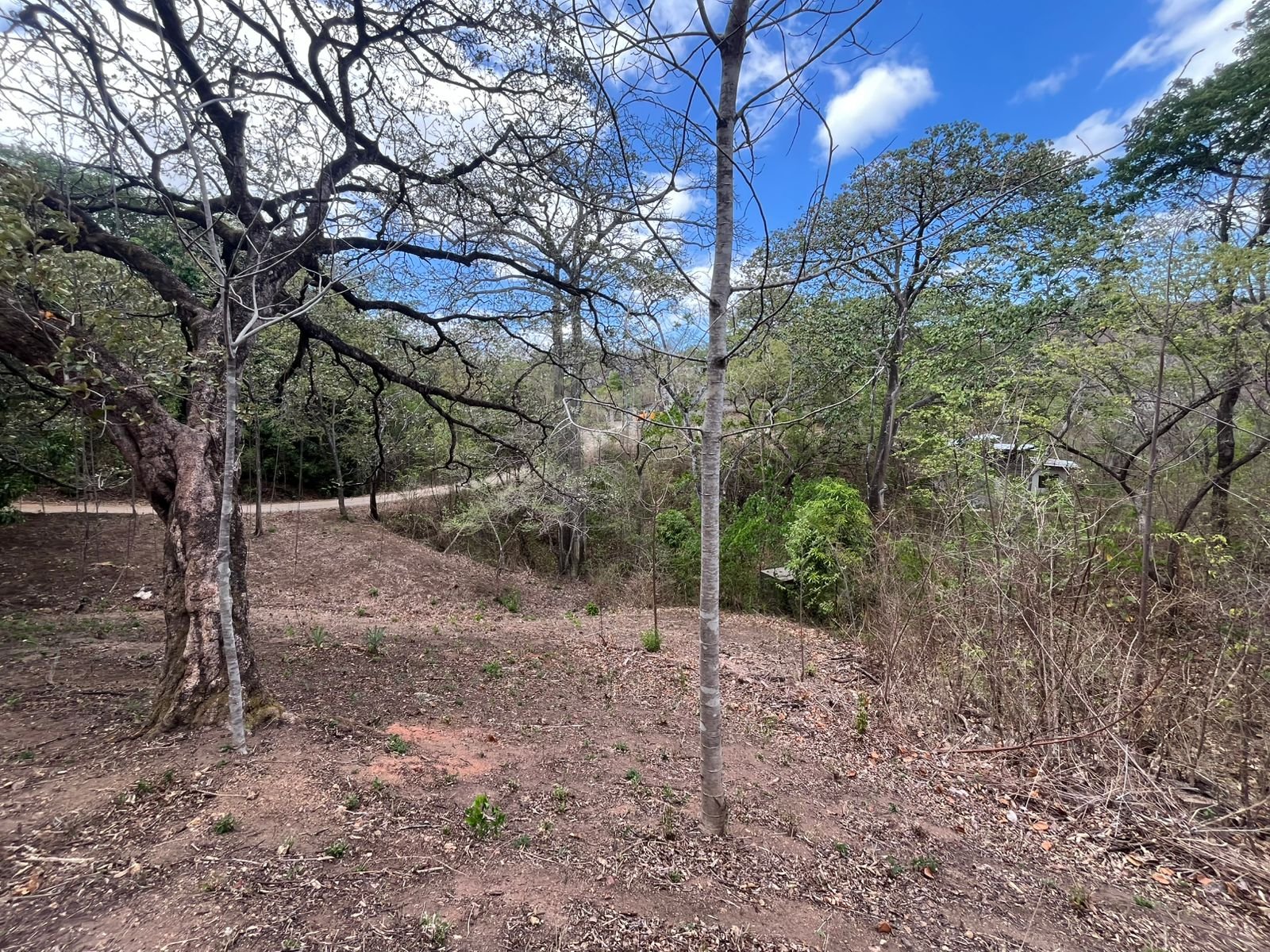 Playa Grande, ,Lots / Land,For Sale,1198