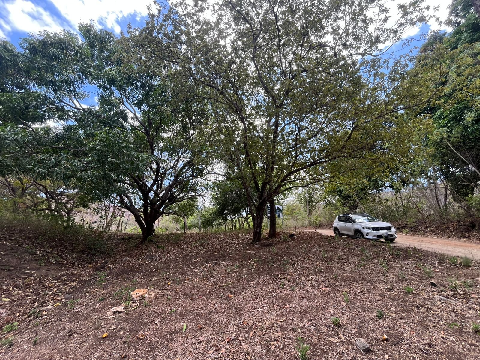 Playa Grande, ,Lots / Land,For Sale,1198
