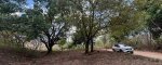 Playa Grande, ,Lots / Land,For Sale,1198