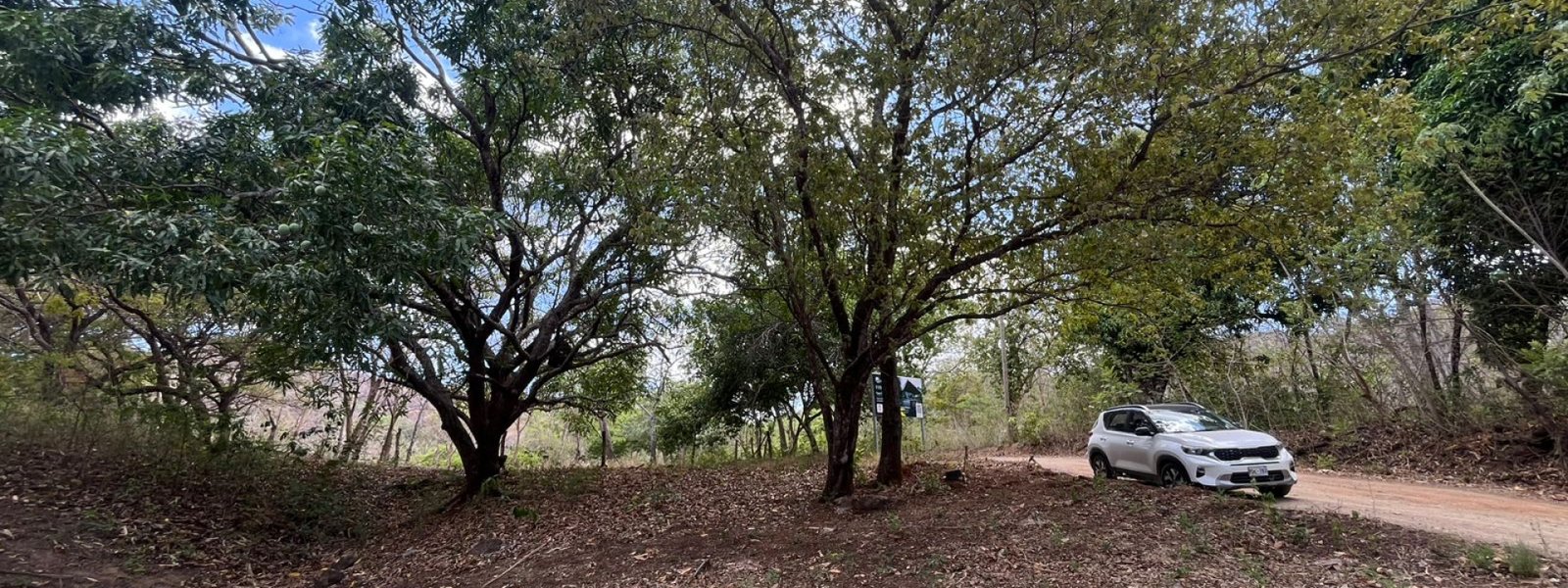 Playa Grande, ,Lots / Land,For Sale,1198