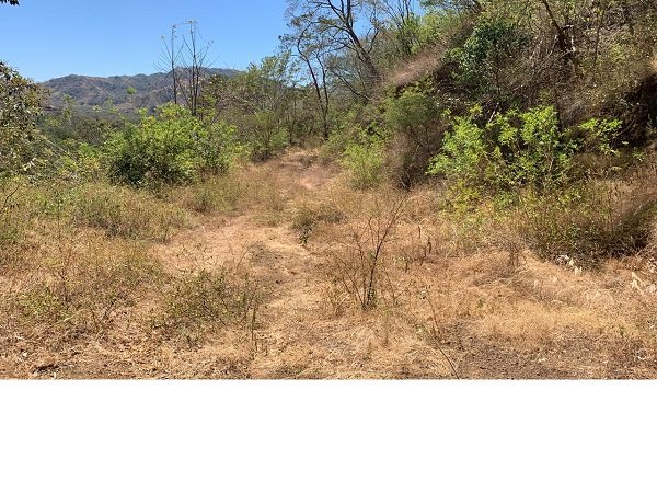 Potrero, ,Lots / Land,Under Contract,1038